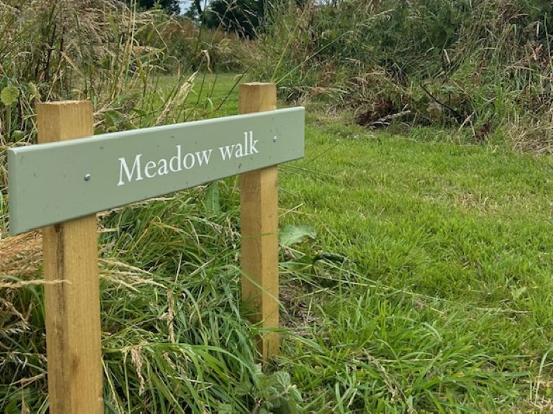 The Blooming Wild Plant Nursery